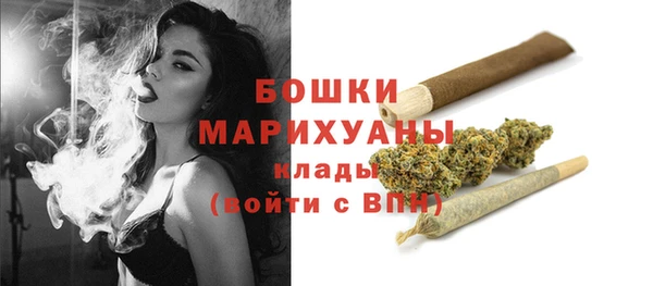 трава Гусиноозёрск
