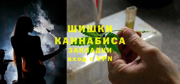 трава Гусиноозёрск
