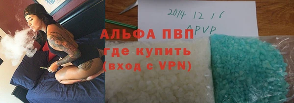 трава Гусиноозёрск