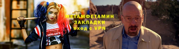 трава Гусиноозёрск
