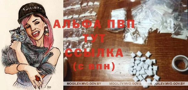 трава Гусиноозёрск