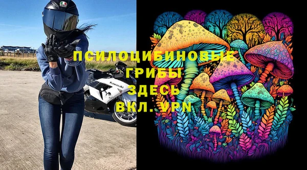трава Гусиноозёрск
