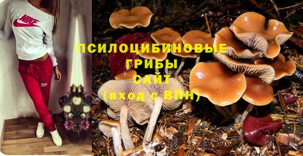 герыч Гусь-Хрустальный