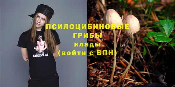 трава Гусиноозёрск