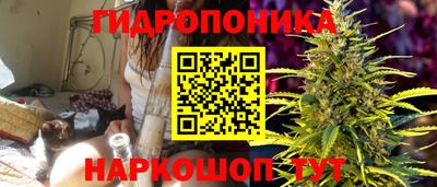 молекула духа Камышлов