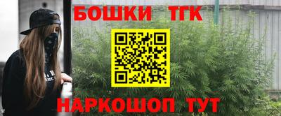 молекула духа Камышлов
