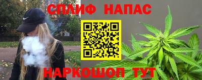 молекула духа Камышлов