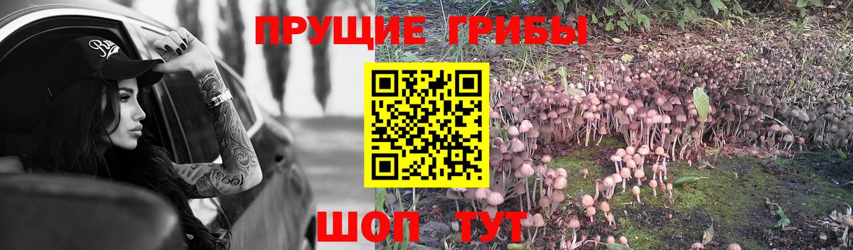 Псилоцибиновые грибы Psilocybe  Галлюциногенные грибы MAGIC MUSHROOMS  Острогожск  Вход с VPN 
